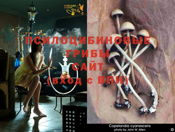 хмурый Волоколамск