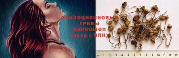 спайс Володарск