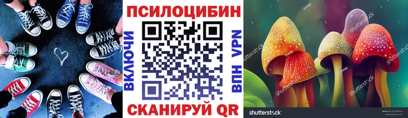 Галлюциногенные грибы мицелий  нарко площадка наркотические препараты  Глазов 